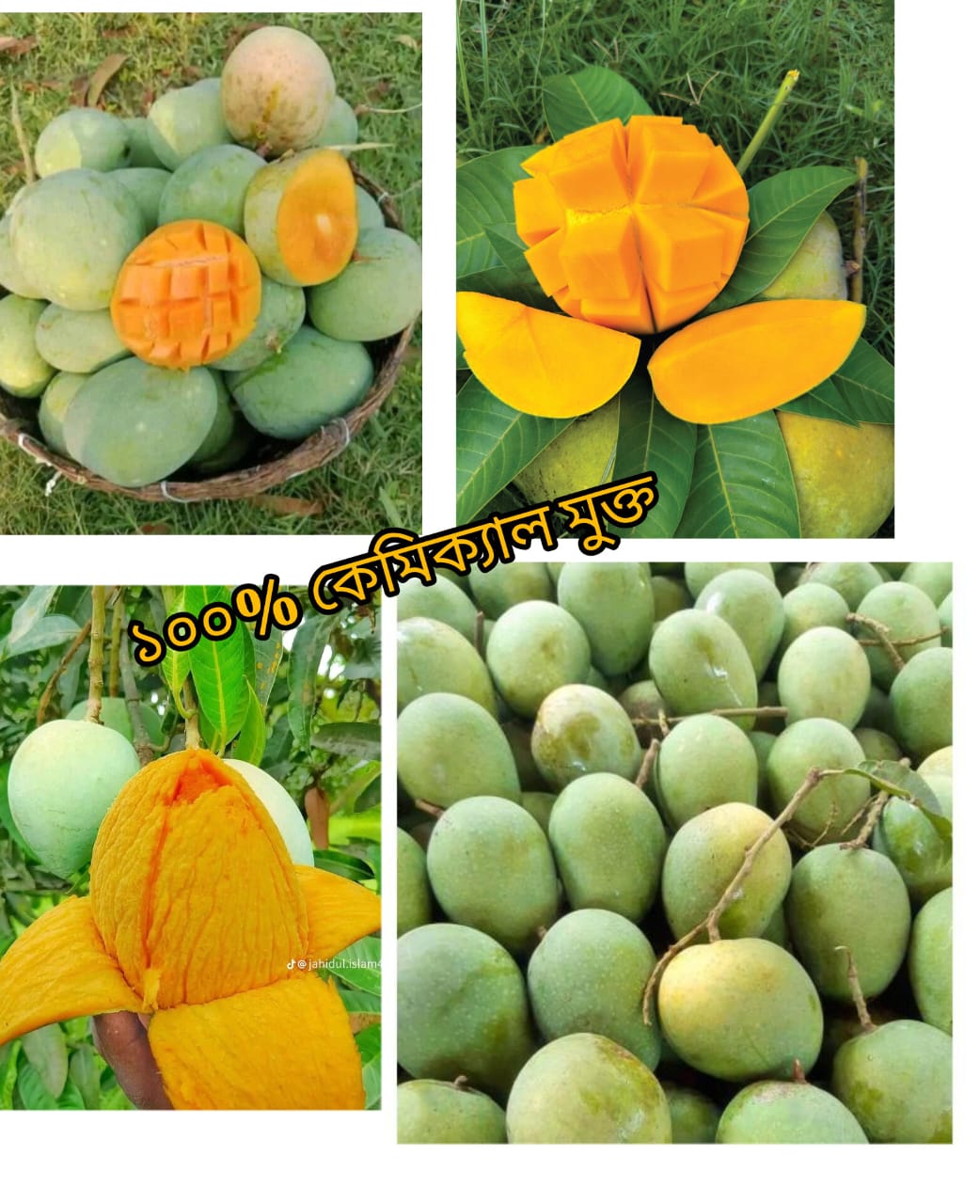 40 কেজি গোবিন্দভোগ আম